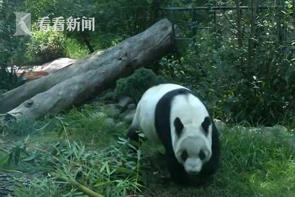 【黑料網-免費吃瓜-獨家爆料】明碼標價，不得出現(xiàn)兩套菜單！北京對年夜飯加強監(jiān)督檢查