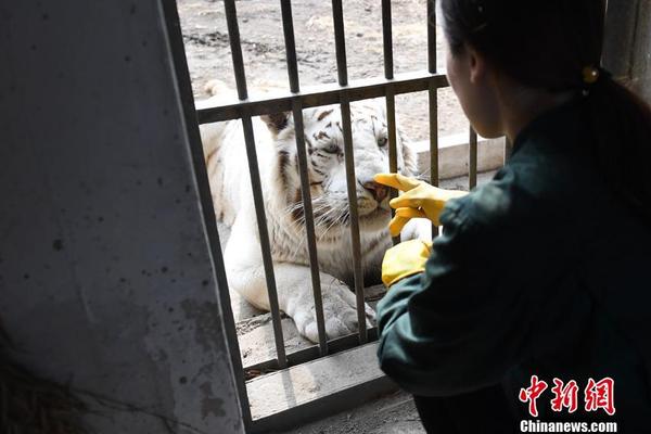 【黑料網-免費吃瓜-獨家爆料】明碼標價，不得出現(xiàn)兩套菜單！北京對年夜飯加強監(jiān)督檢查