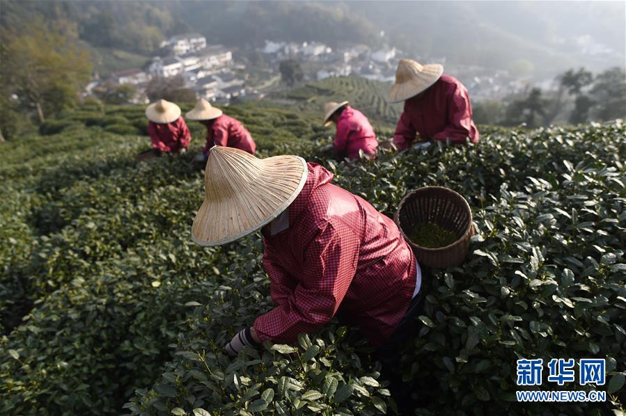 世界上第一個“最佳旅游村”的啟示