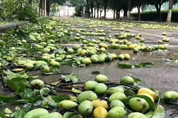 【黑料網(wǎng)-免費吃瓜-獨家爆料】柔性司法督促家長履行職責