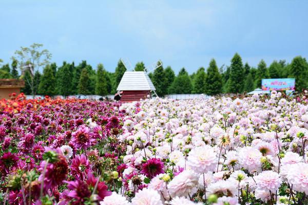 浙江：去年數(shù)字經濟核心產業(yè)增加值增長8%左右