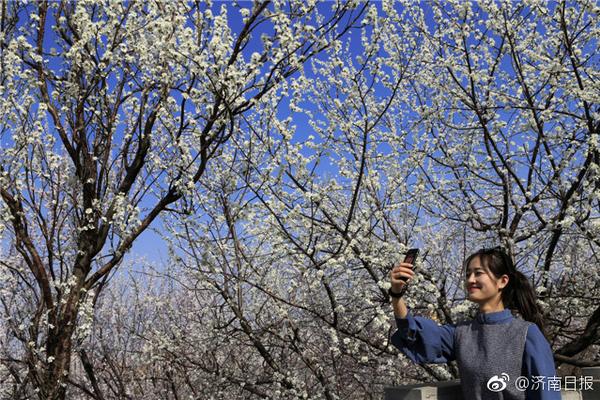 批發(fā)價每斤約合人民幣9元 日本11月糙米價格同比上漲約60%
