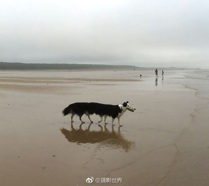 2024年京津冀文化和旅游產(chǎn)業(yè)投融資促進(jìn)系列活動(dòng)暨文化和旅游產(chǎn)業(yè)年會(huì)成功召開 附：第二十一屆「金枕頭」酒店業(yè)案例征集活動(dòng)榜單