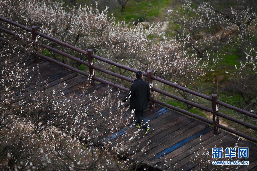 前三季度，中國冷鏈物流總額6.4萬億元 同比增長4.2%