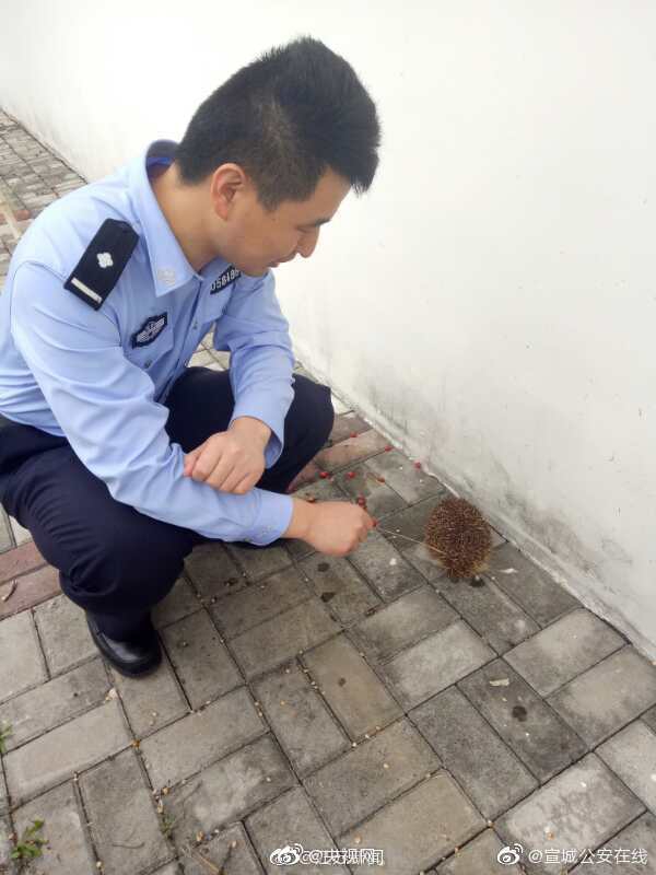 深圳首條跨海地道通車 媽灣海底地道全長(zhǎng)約8.05千米，為國內(nèi)海底最大直徑盾構(gòu)地道