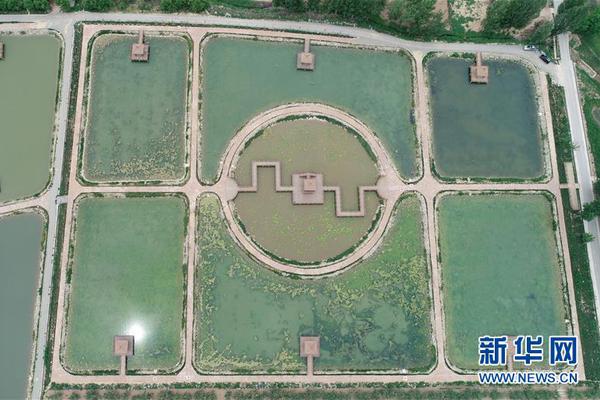第三季度，美團(tuán)凈利潤(rùn)增加到129億元 王興：會(huì)注意保持健康的生態(tài)系統(tǒng)