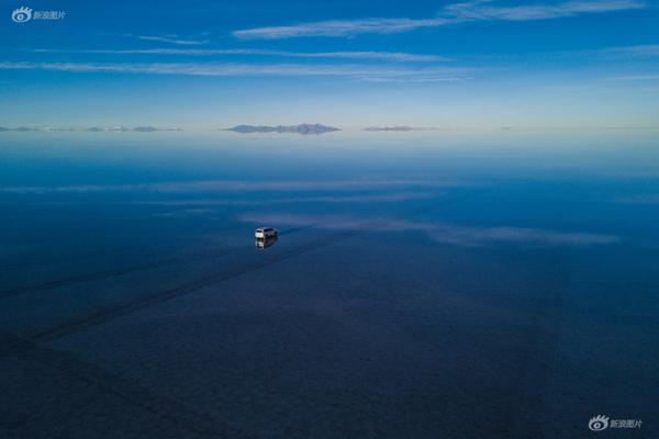 湛江霞山特呈島成為聯(lián)合國氣候變化大會典型案例“零碳島”紅樹林面積五年翻了倍