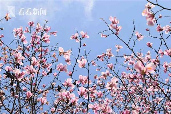 市政協(xié)常委堯金仁建議：創(chuàng)新藥應(yīng)按創(chuàng)新性和療效來(lái)定價(jià)