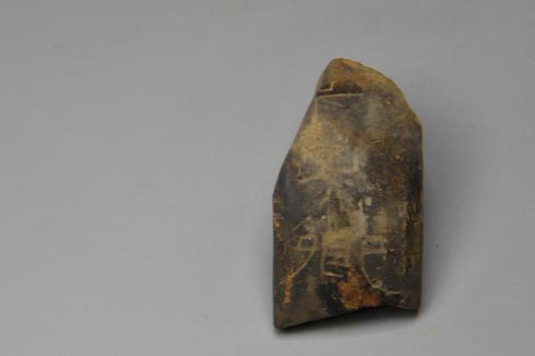 早盤培育鉆石板塊走高 黃河旋風(fēng)一字漲停