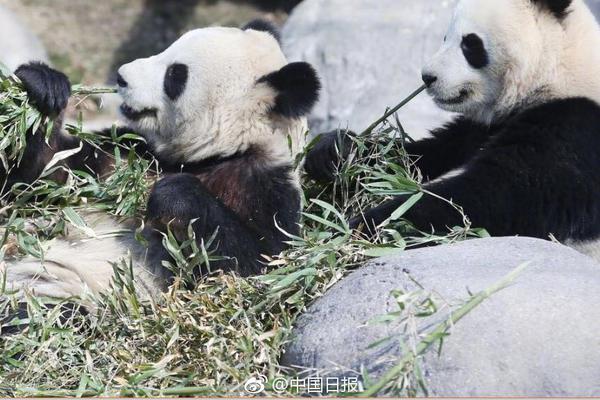 民政部指定水滴籌等三家平臺為個人求助網(wǎng)絡(luò)服務(wù)平臺