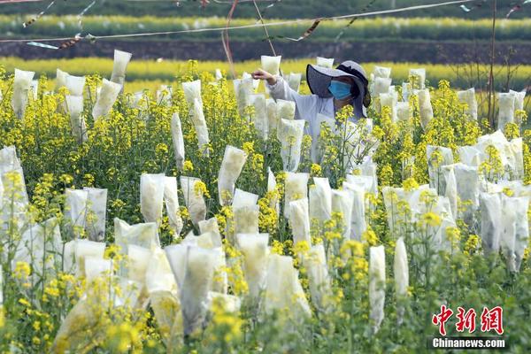 新能源基地建設(shè)提速　首批項(xiàng)目沖刺收官