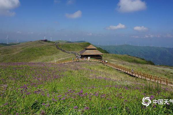 游船沉沒(méi)在紅海海域 已經(jīng)找到了一些幸存者