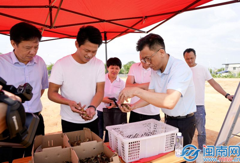金價飆升后 勞力士2025年初上調(diào)表價