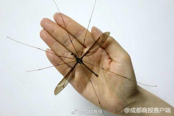 微信戰(zhàn)略研究院：破除工具依賴 讓AI工具與學生一同成長｜2025教育領航者同學會