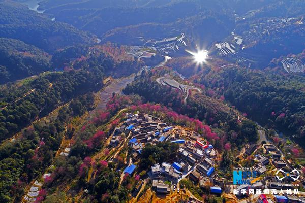 【17c呱呱爆料】民企接連拿地，南京4.86億元成交兩宗低密度宅地