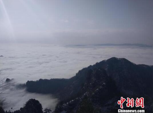 亞冠精英聯(lián)賽:山東泰山、上海港均告捷
