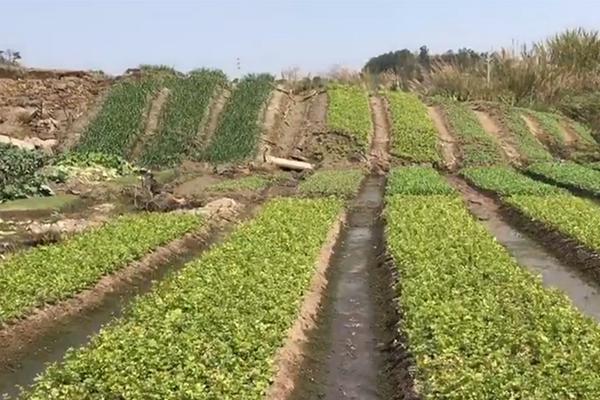 【黑料吃瓜資源】加沙地帶北部主要醫(yī)院遭襲停運 也門局勢持續(xù)升級