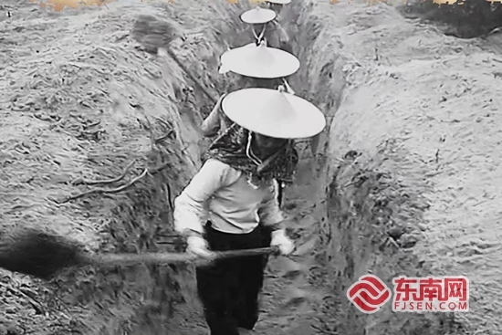 2024年“雙11”大促銷售盤點 誰收獲最豐？誰買爽了？