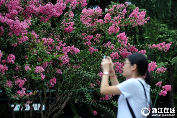 【黑料門-今日黑料】中國宣紙走向海外