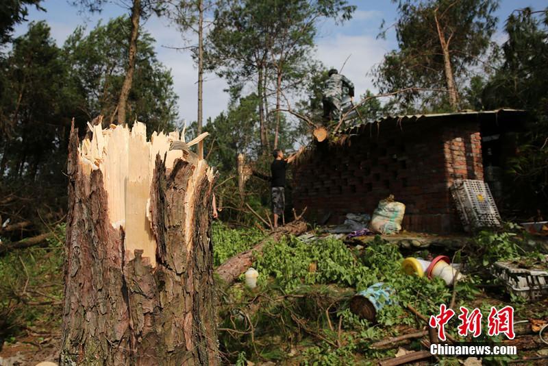 系列舉措出爐為外貿穩(wěn)增長添動能