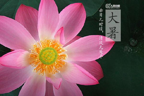 【黑料 今日黑料 熱門黑料】柯文哲京華城案的關(guān)鍵人物，李文宗和朱亞虎的拘留禁止