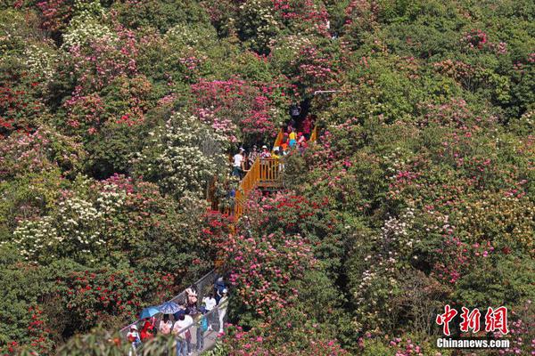 教育部等三個(gè)部門加強(qiáng)幼兒園和小學(xué)近視防控 組織和督促小學(xué)生課間到戶外活動(dòng)