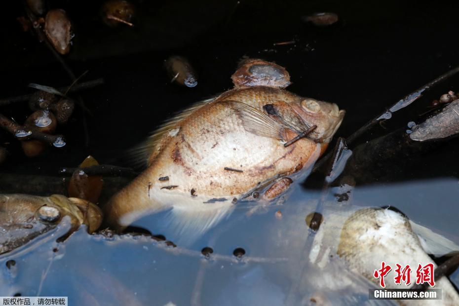 前三季度凈利26.11億元 激烈的市場補貼戰(zhàn) 滴滴如何繼續(xù)突破？