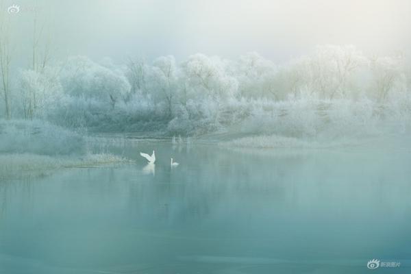 紙業(yè)巨頭晨鳴紙業(yè)“爆雷”：18.2億債務(wù)逾期 超七成產(chǎn)能已停產(chǎn)