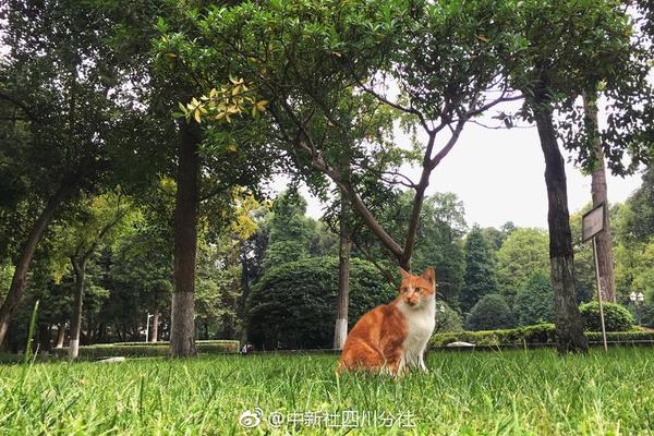 【熱點(diǎn)爆料官方網(wǎng)站入口】券商展望2025年A股投資：樂(lè)觀預(yù)期成共識(shí) 多個(gè)賽道“劃重點(diǎn)”