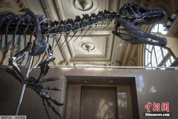 【黑料網(wǎng)】秘魯一購物中心房頂崩塌已致8死82傷 或?yàn)閺?qiáng)降雨所造成的