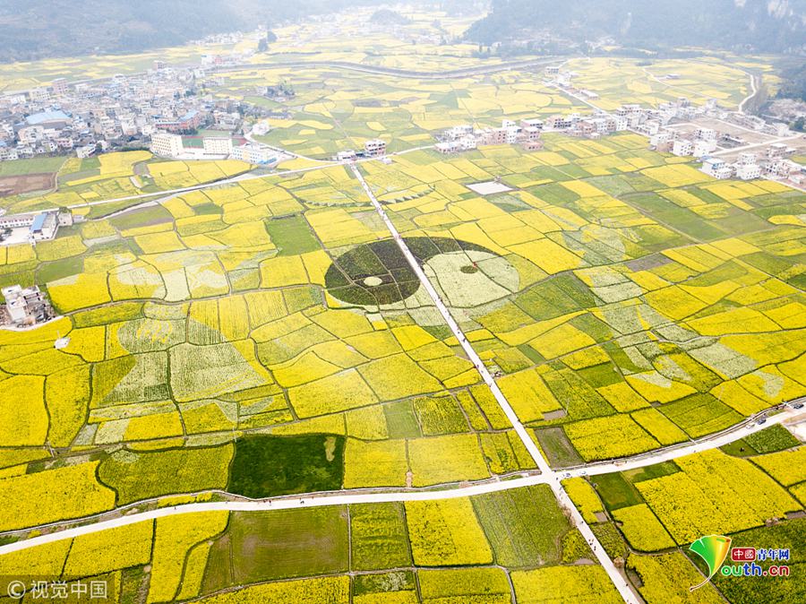 鄭州開展住房租賃新規(guī)宣傳 助力市民提升租房法律意識(shí)