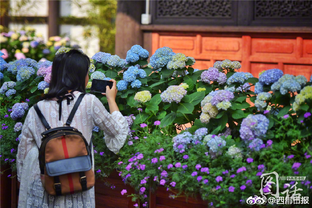 【黑料網(wǎng)-今日黑料】新能源汽車產(chǎn)量首次突破1000萬輛 工業(yè)和信息化部推動形成協(xié)同聯(lián)動創(chuàng)新共贏新局面