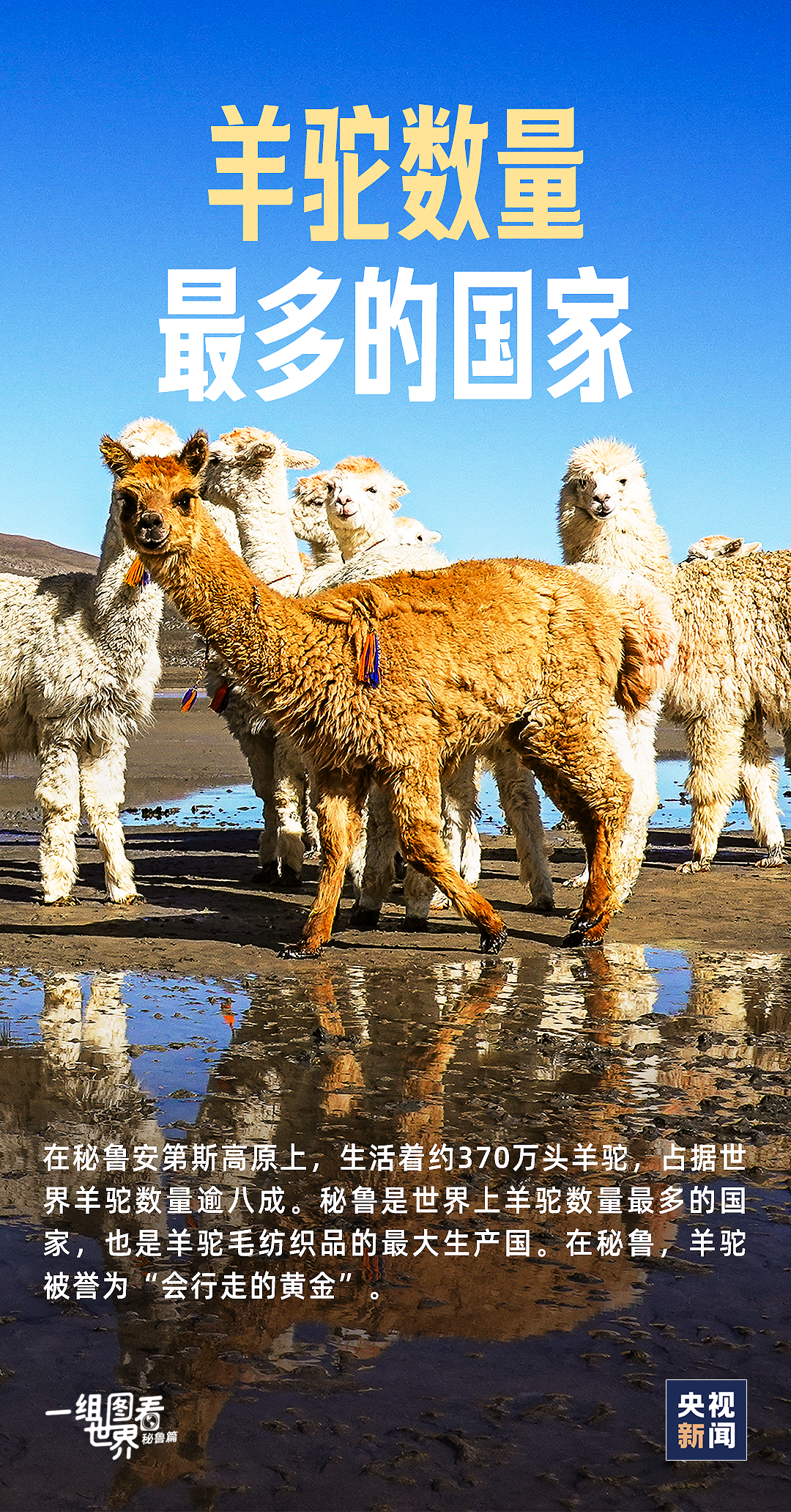 我國氣象局發(fā)動寒流暴雪Ⅲ級應急呼應