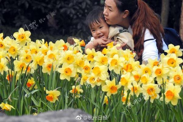 【17.c-起草紅桃國際】識破假黃金不能光讓消費(fèi)者擦亮眼睛