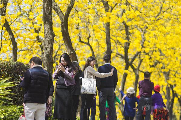【苦瓜網(wǎng)】四川達(dá)州東部經(jīng)濟(jì)開發(fā)區(qū)鐵路專用線開通運(yùn)營