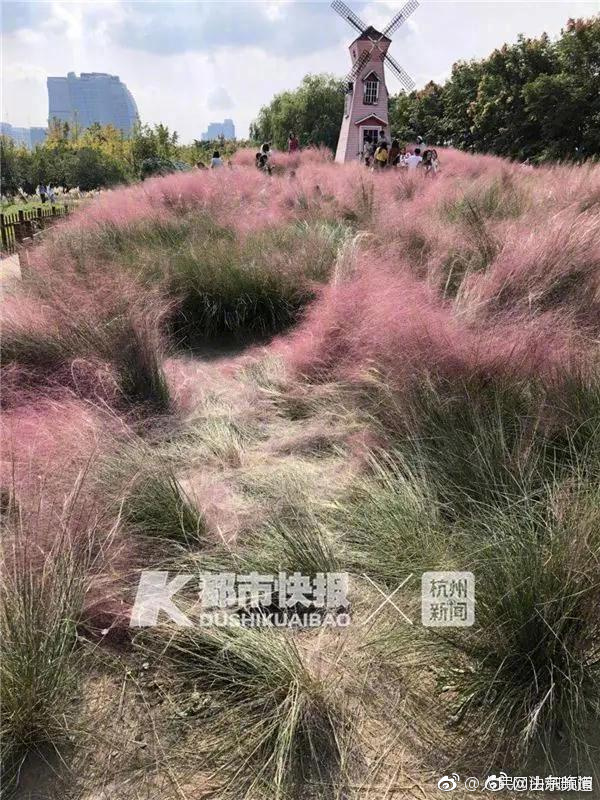 【51吃瓜爆料黑料官網(wǎng)】計(jì)算安全重要性凸顯，國(guó)產(chǎn)芯片夯實(shí)安全技術(shù)底座