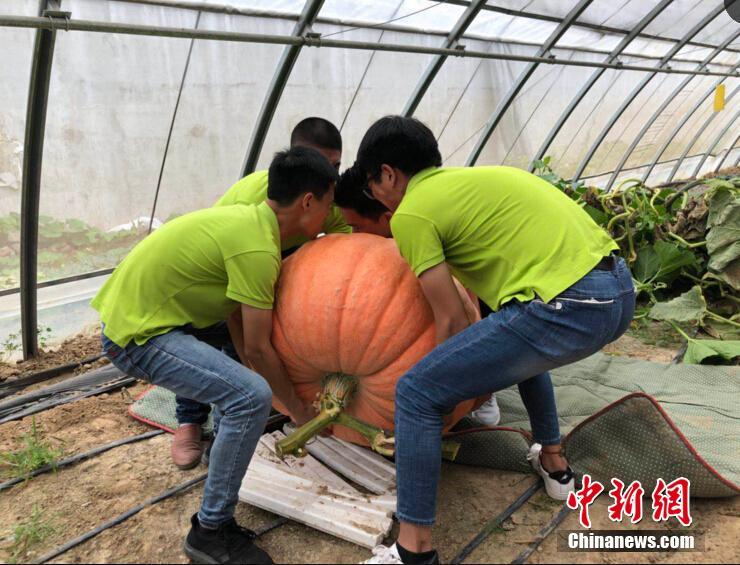 長(zhǎng)江干線2024年港口貨物吞吐量預(yù)計(jì)超40億噸