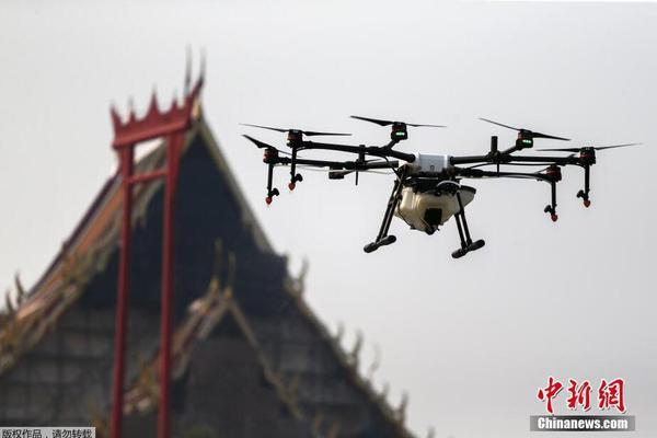 新需求 新供應(yīng) 新途徑 從年貨購物車看消費變遷