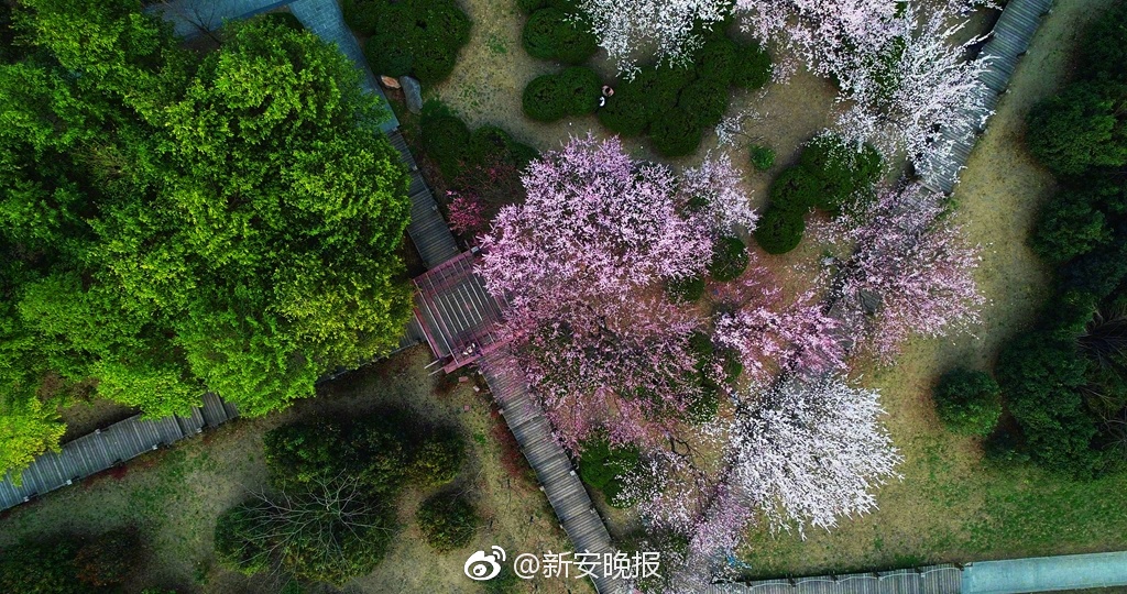 【老司機(jī)吃瓜爆料】港股B類醫(yī)藥股普遍走強(qiáng)，來凱醫(yī)藥漲幅超過12%，創(chuàng)下1月以來的新高