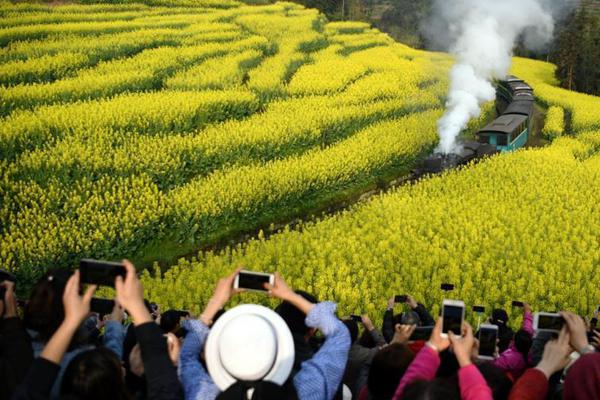 【黑料51吃瓜不打烊爆料】秘魯和巴西舉行了一系列中拉文化交流活動(dòng)