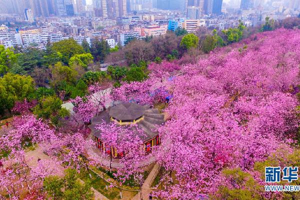 【黑料正能量zzzttt傳送門】廣汽集團(tuán)：前三季度出口同比增長112% 多個(gè)投資或孵化企業(yè)上市？