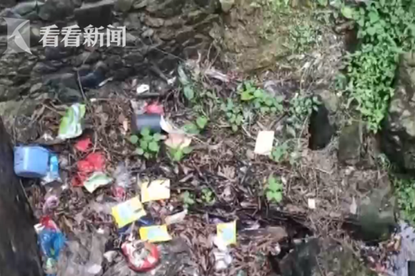 2024年粵港澳大灣區(qū)可持續(xù)發(fā)展論壇舉行